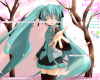 2009 F.PNG